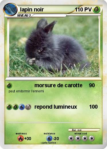 Pokemon lapin noir