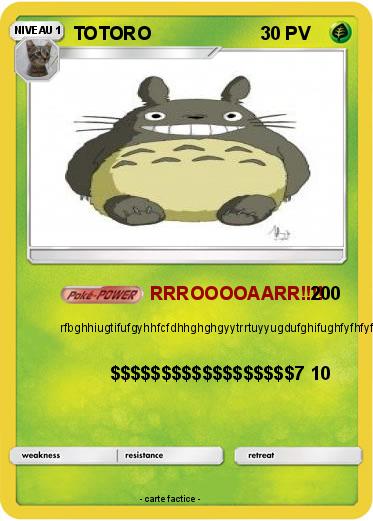 Pokemon TOTORO