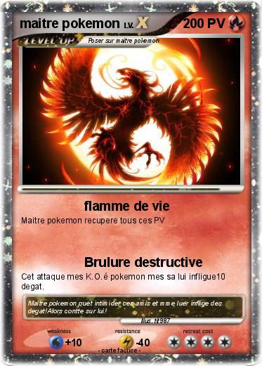 Pokemon maitre pokemon