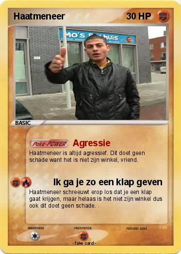 Pokemon Haatmeneer