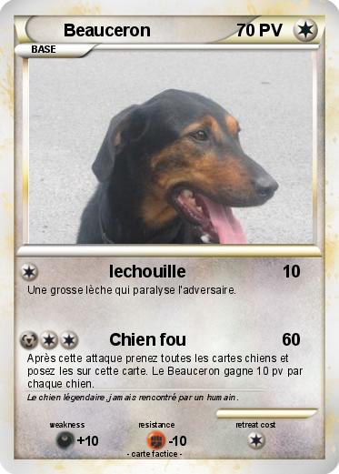 Pokemon Beauceron