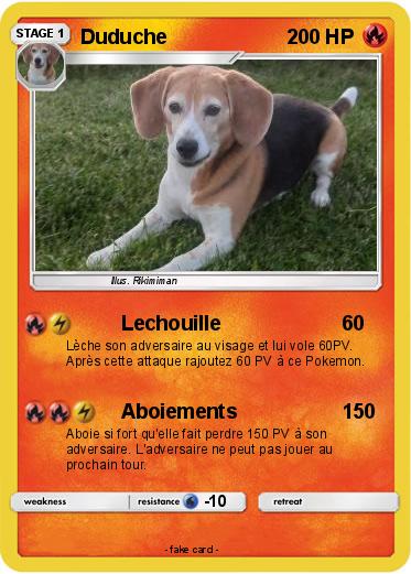Pokemon Duduche