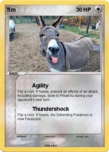 Pokemon Tim