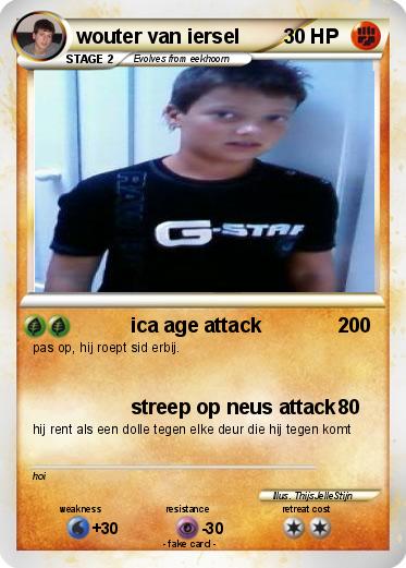 Pokemon wouter van iersel