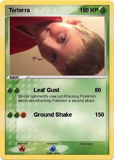 Pokemon Torterra