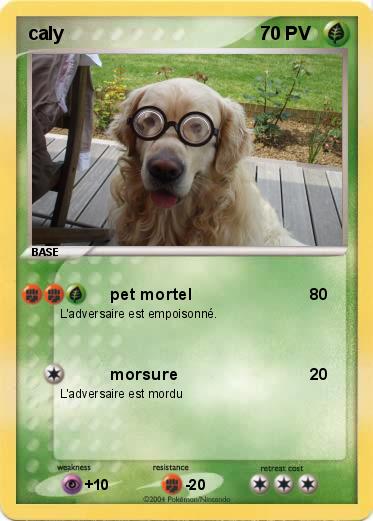 Pokemon caly