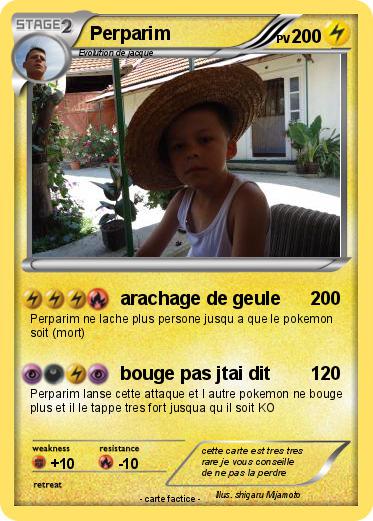 Pokemon Perparim