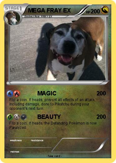 Pokemon MEGA FRAY EX
