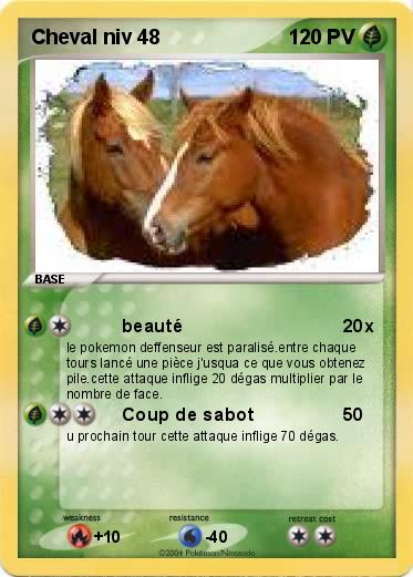 Pokemon Cheval niv 48