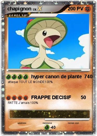 Pokemon chapignon