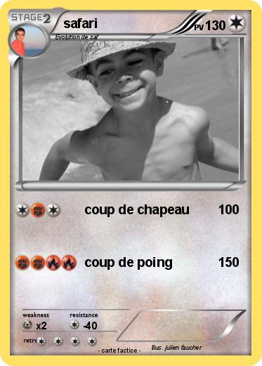 Pokemon safari