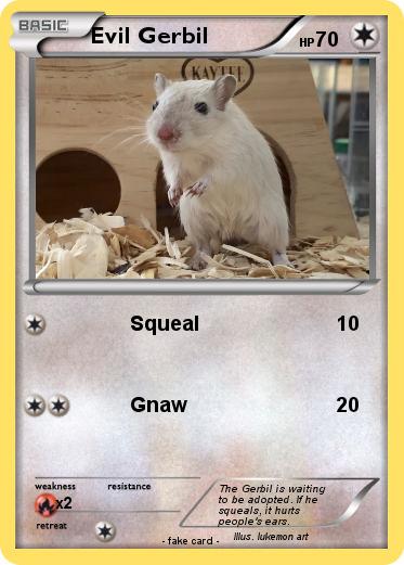 Pokemon Evil Gerbil