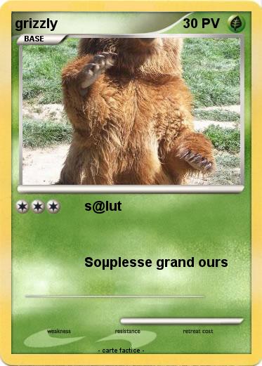 Pokemon grizzly