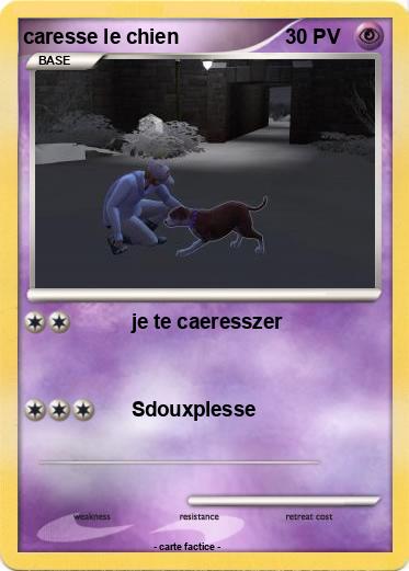 Pokemon caresse le chien