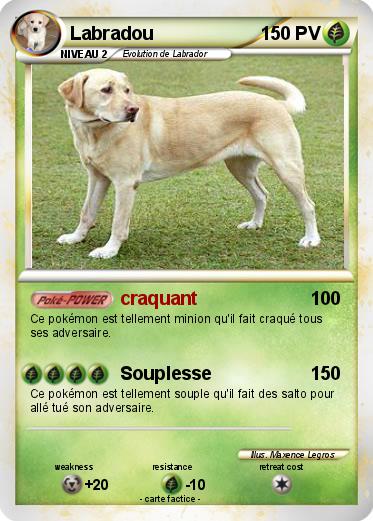 Pokemon Labradou