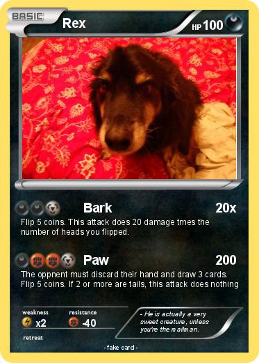 Pokemon Rex