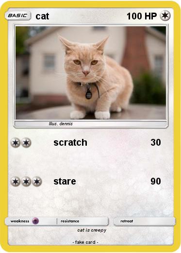 Pokemon cat