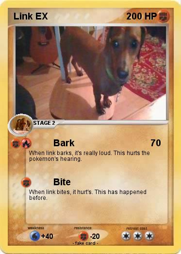 Pokemon Link EX
