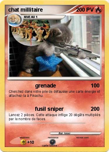 Pokemon chat millitaire