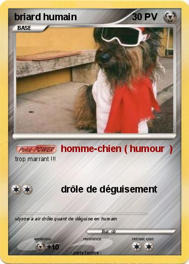 Pokemon briard humain