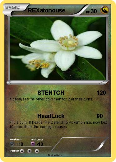 Pokemon REXatonouse
