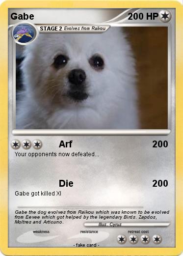 Pokemon Gabe
