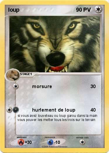 Pokemon loup
