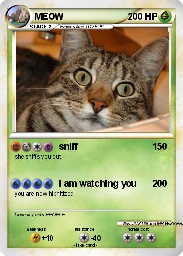 Pokemon MEOW