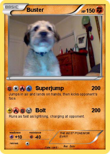 Pokemon Buster