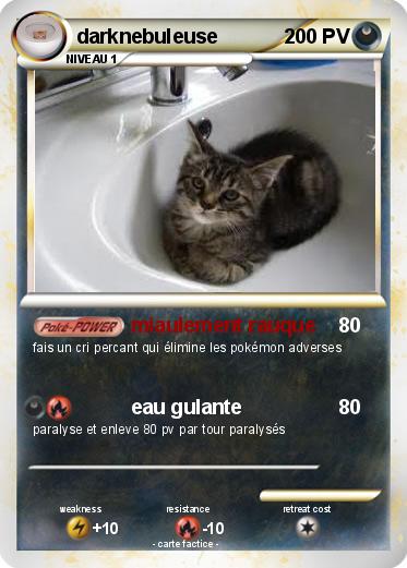 Pokemon darknebuleuse