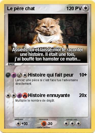 Pokemon Le père chat