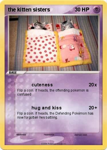 Pokemon the kitten sisters