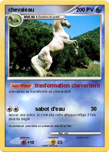 Pokemon chevaleau