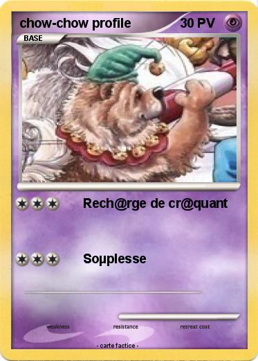 Pokemon chow-chow profile