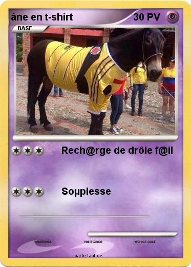 Pokemon âne en t-shirt