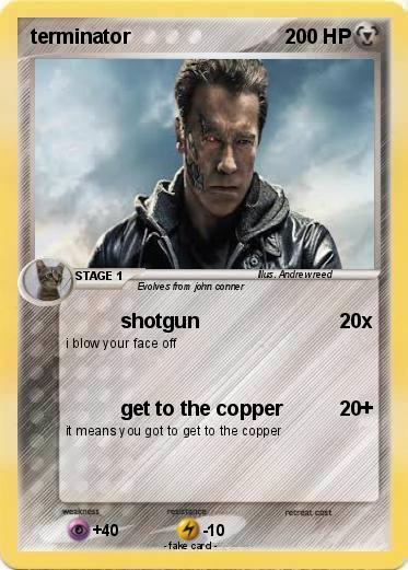 Pokemon terminator