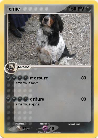 Pokemon  emie