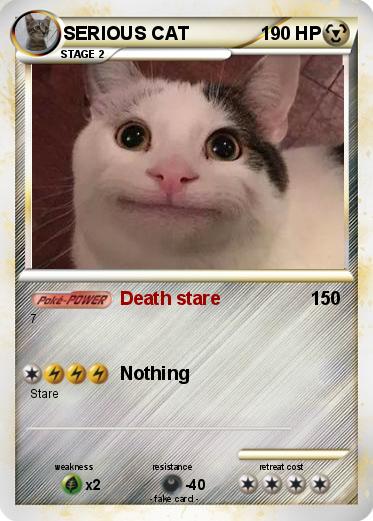 Pokemon SERIOUS CAT
