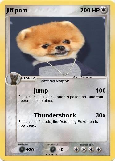 Pokemon jiff pom