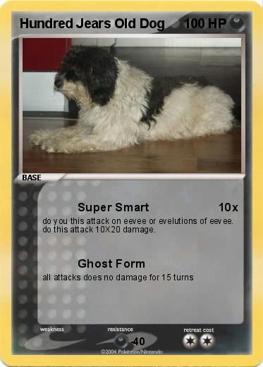 Pokemon Hundred Jears Old Dog