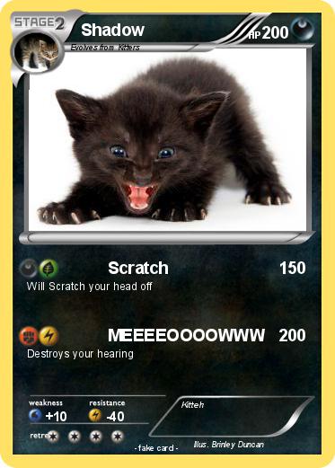 Pokemon Shadow