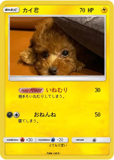 Pokemon カイ君