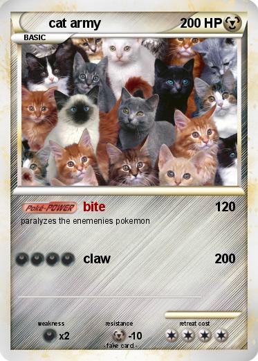 Pokemon cat army