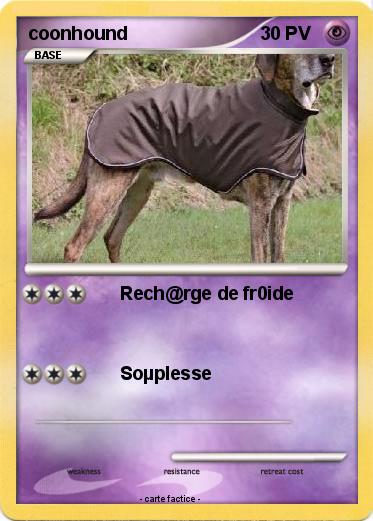 Pokemon coonhound