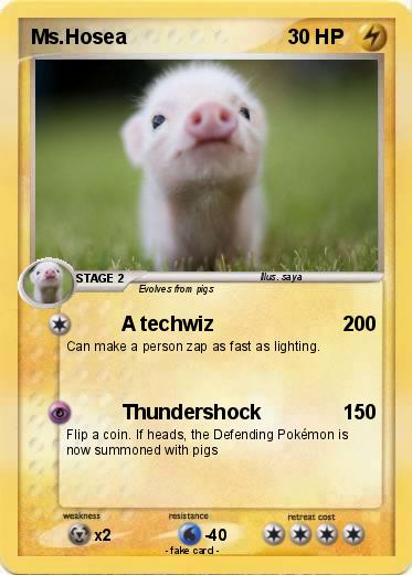 Pokemon Ms.Hosea