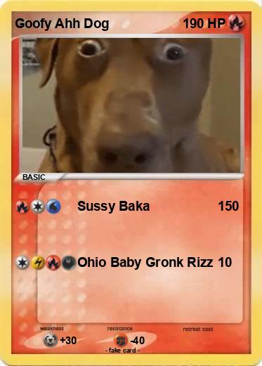 Pokemon Goofy Ahh Dog