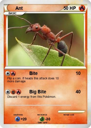 Pokemon Ant
