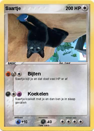 Pokemon Saartje