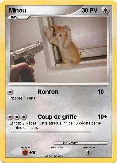 Pokemon Minou