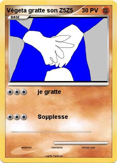 Pokemon Végeta gratte son Z5Z5